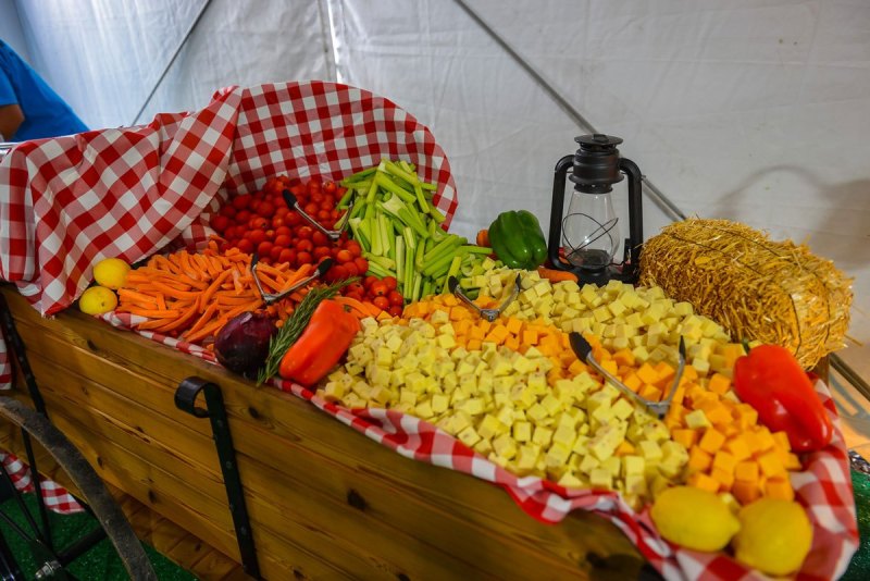 WE-Fest-VIP-Experience-Food-Wagon